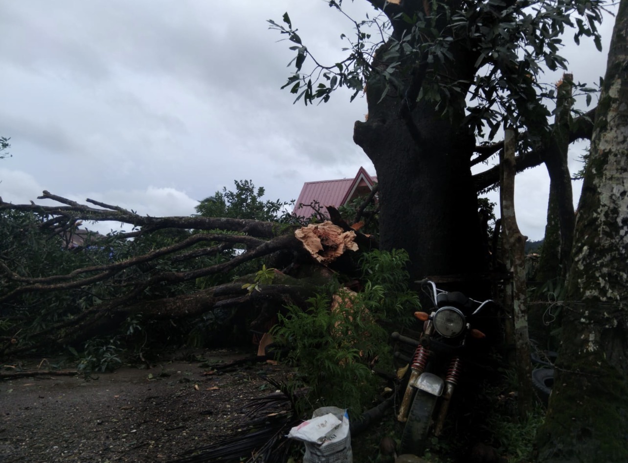 Au-delà des typhons : disparités en matière de mobilité et de droits aux Philippines face aux catastrophes naturelles